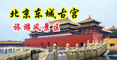 欧美大屌操骚逼视频中国北京-东城古宫旅游风景区